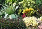 Tanilba Bayplanting-garden-and-landscape-design-24.jpg; ?>