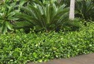 Tanilba Bayplanting-garden-and-landscape-design-45.jpg; ?>